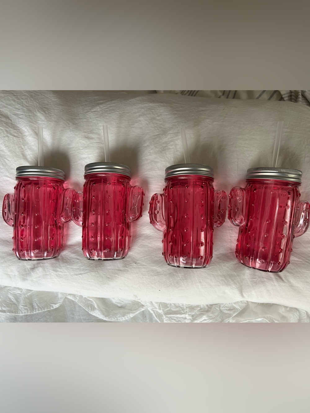 Set of 4 Pink Cactus Mason Jar Tumblers with Lids & Straws. Never used! Adorable